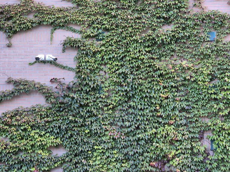 cyber infrastructure monitoring contacts